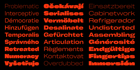 CY Grotesk Font weights in use