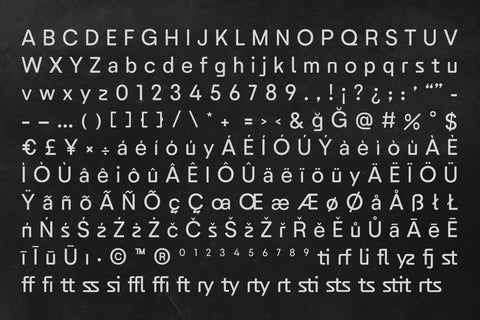 Design Institution Geometric Sans Font with ligatures